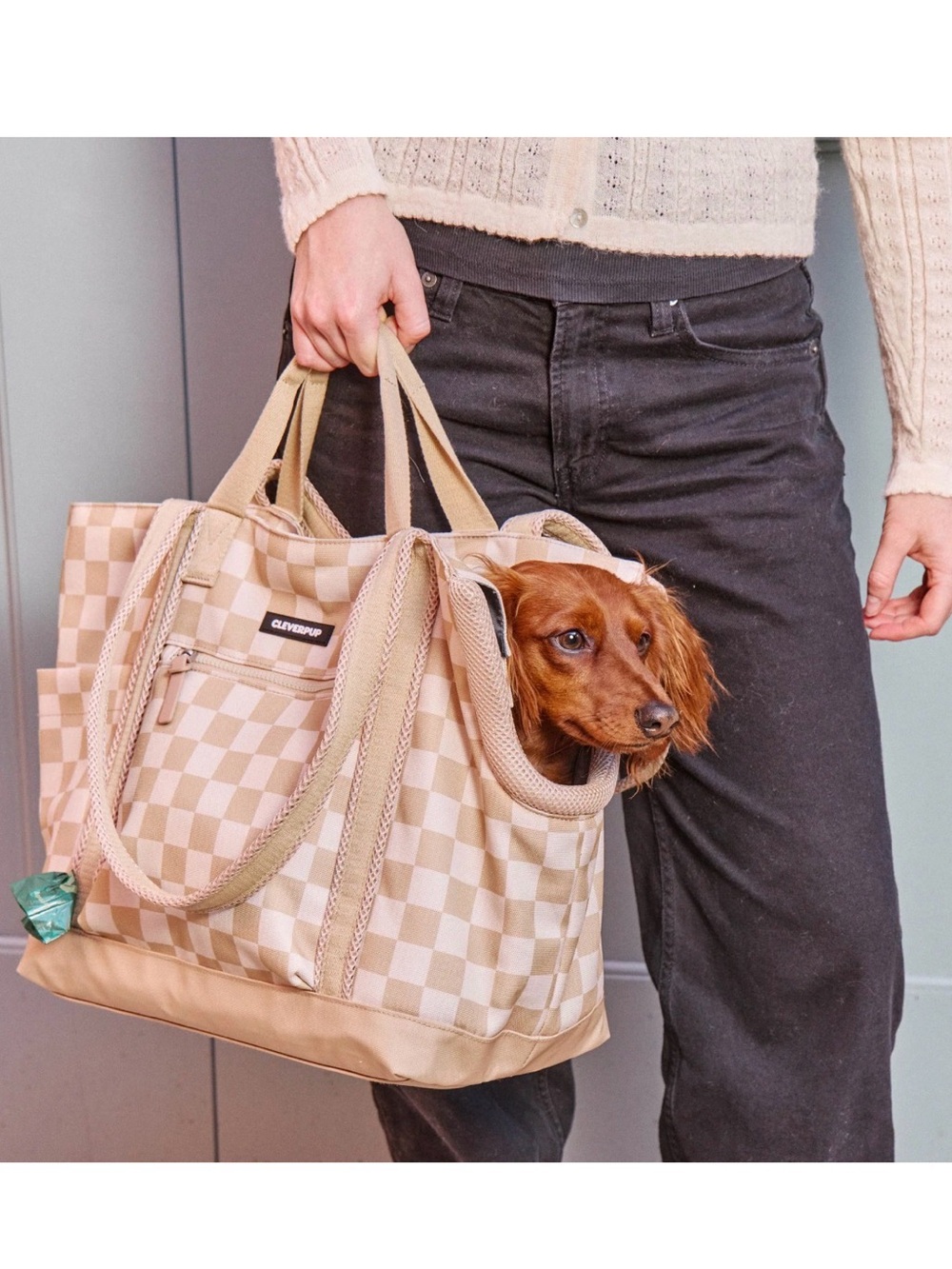 NWT Small Transit Tote Dog Carrier